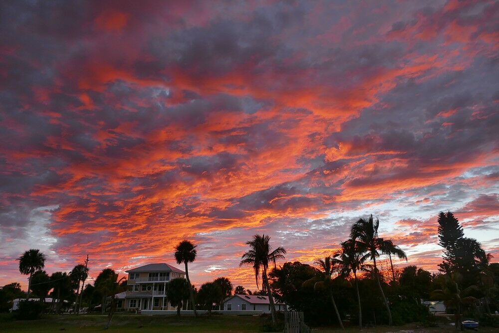 Click to See Next Image